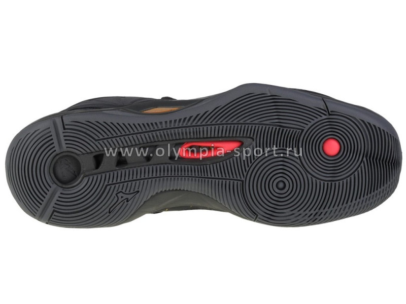 Кроссовки Mizuno Wave Momentum 2