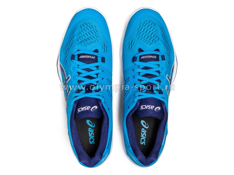 Обувь спортивная Asics SKY ELITE FF 2