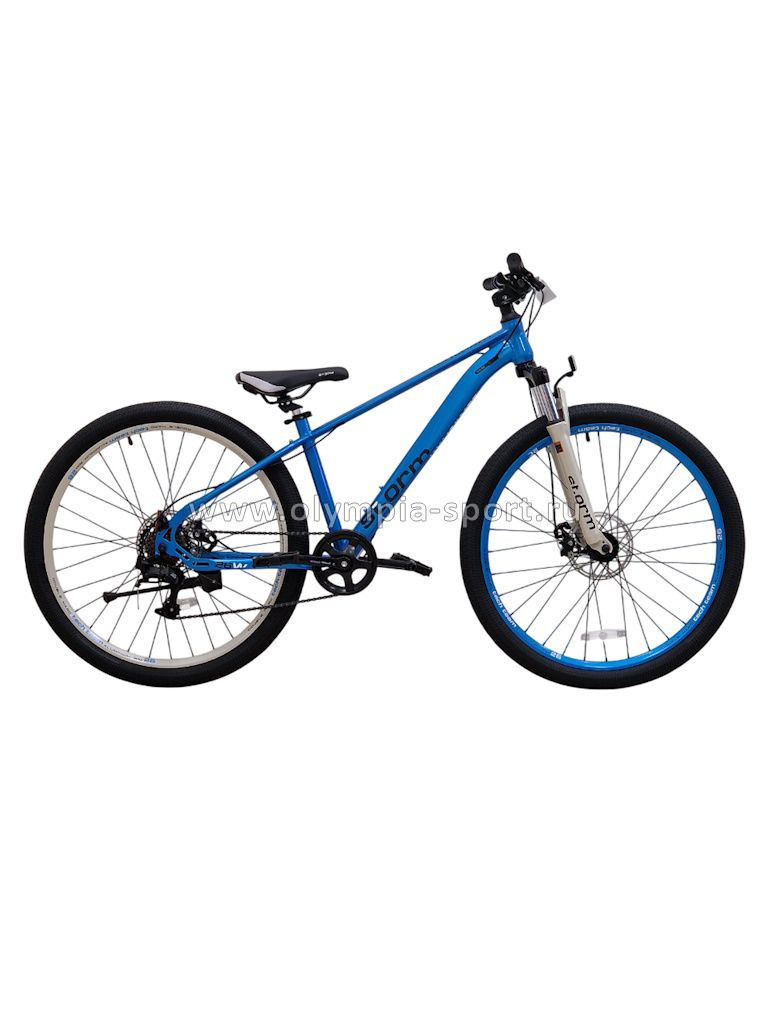 Велосипед TechTeam STORM (26" 7ск рост 14") синий