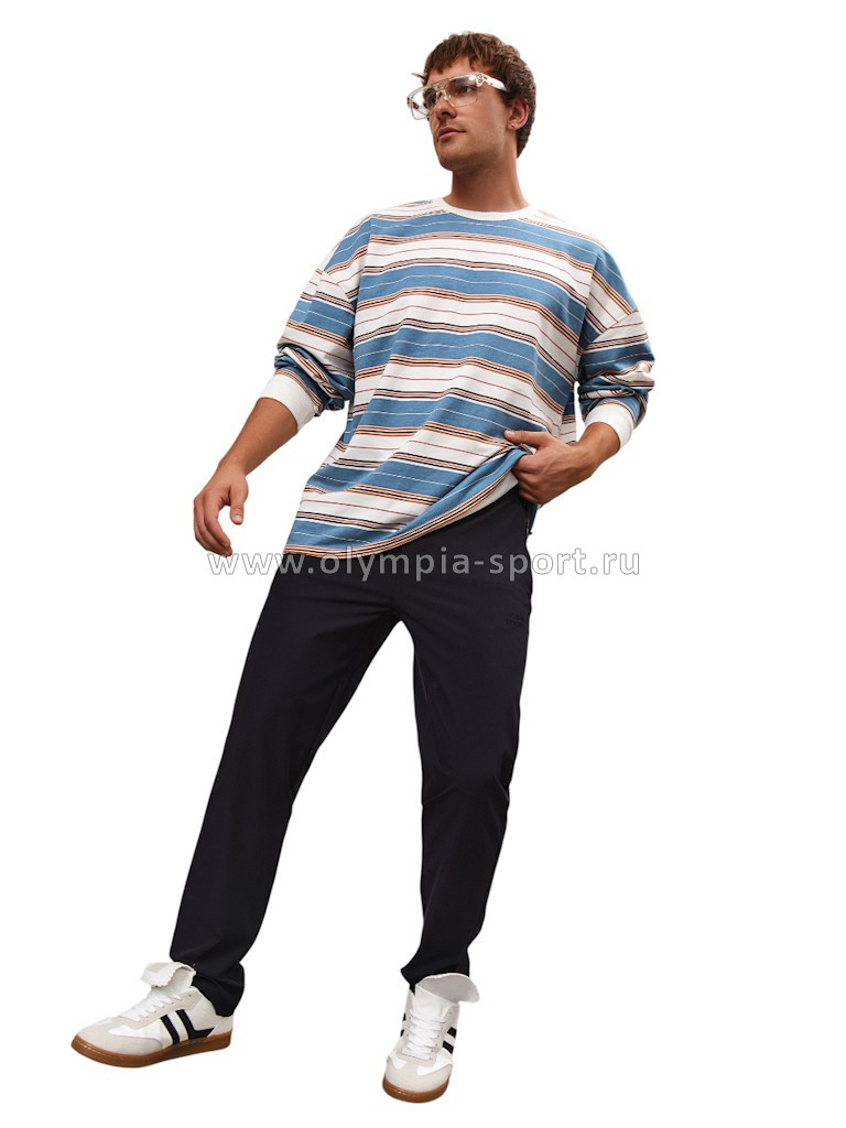 Брюки мужские Strobbs E2385-3 черный