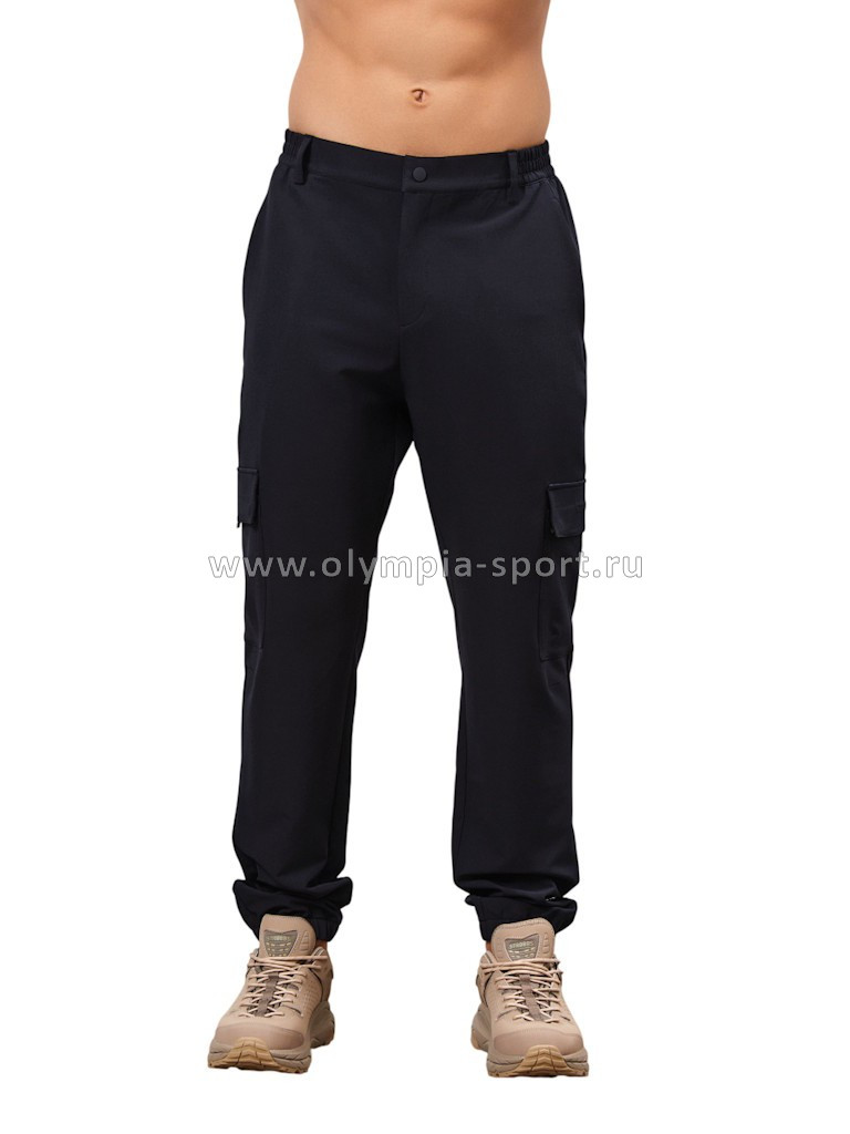 Брюки мужские Strobbs E2392-2 синий