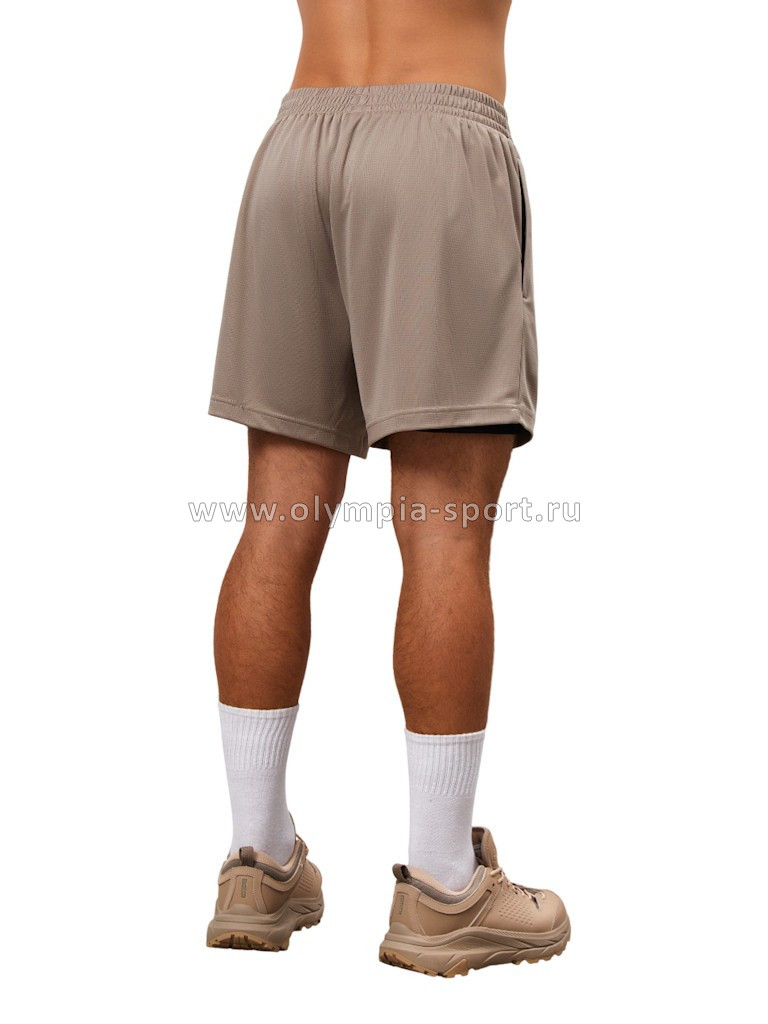 Шорты мужские Strobbs E2382-9 коричневый