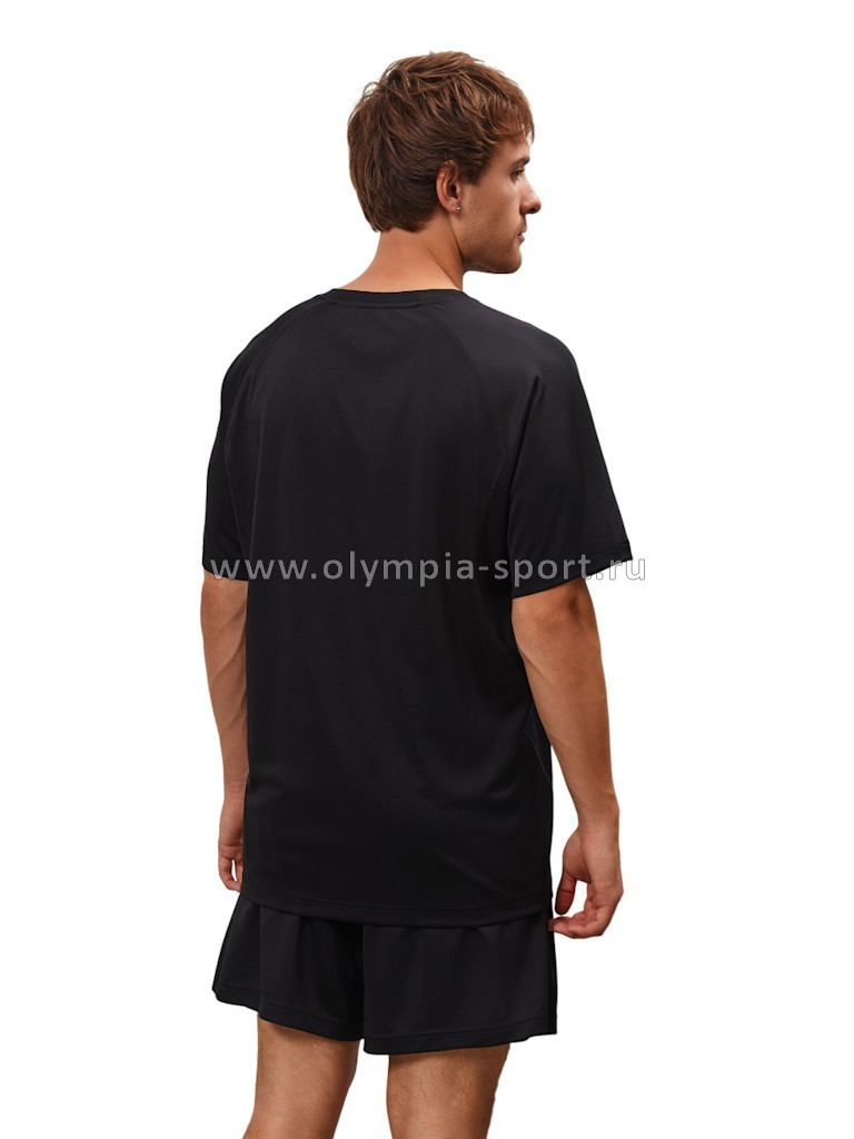 Футболка мужская Strobbs E2381-3