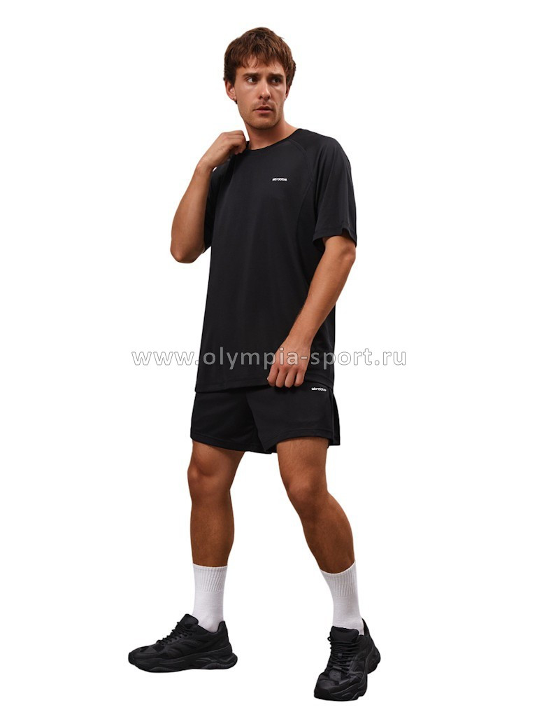 Футболка мужская Strobbs E2381-3