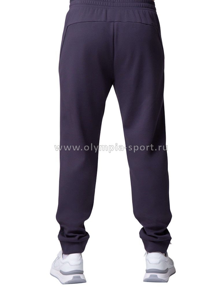 Брюки мужские Strobbs E2393-1 темно-серый