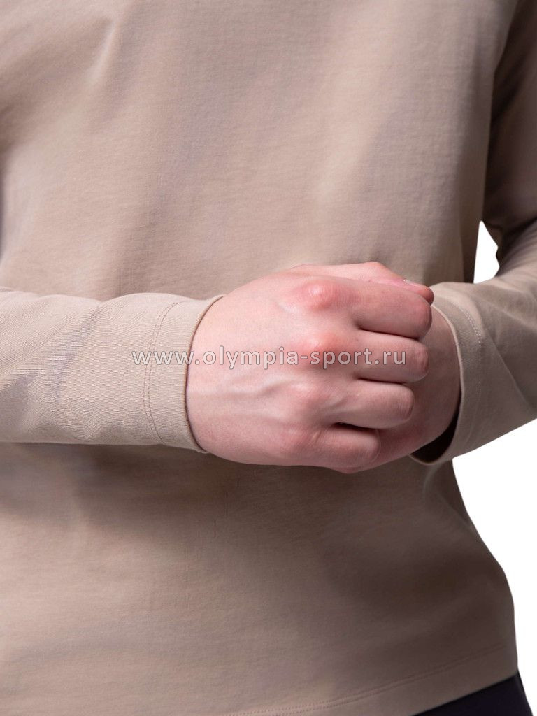 Лонгслив мужской Strobbs E2411-9 бежевый