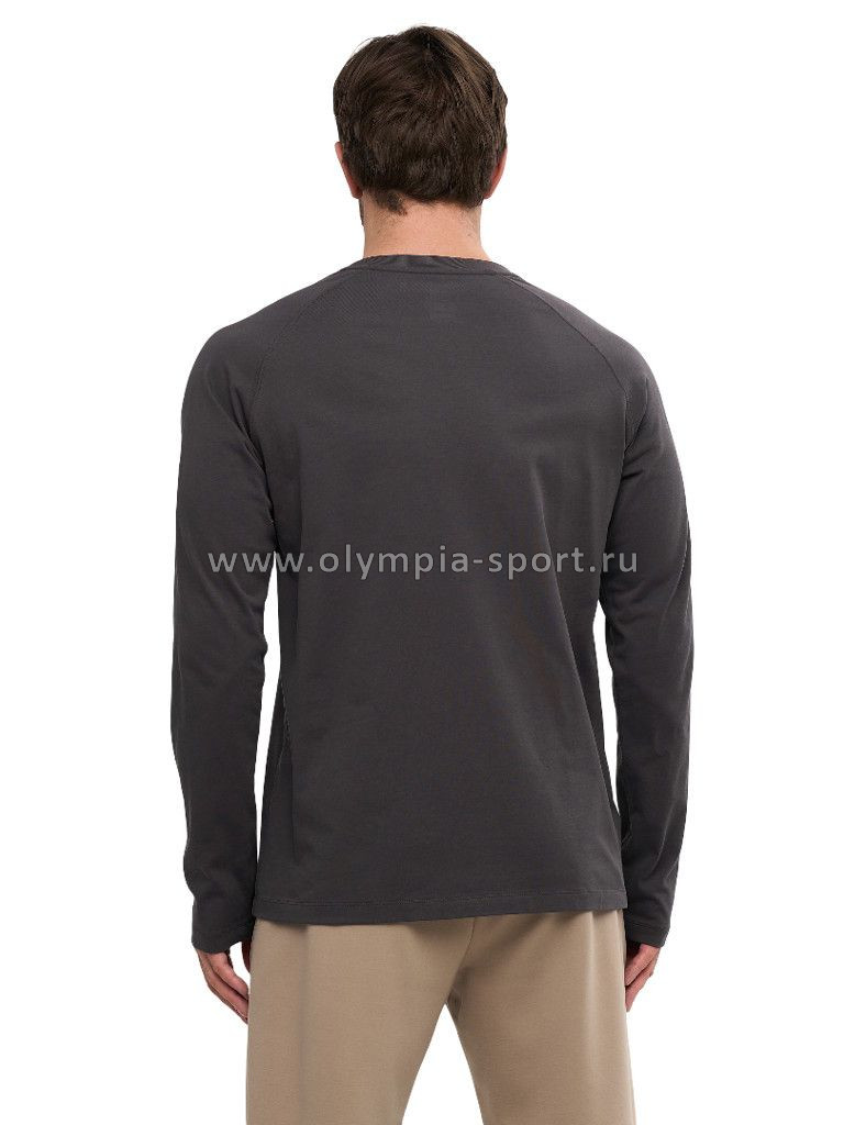 Лонгслив мужской Strobbs E2411-1 темно-серый