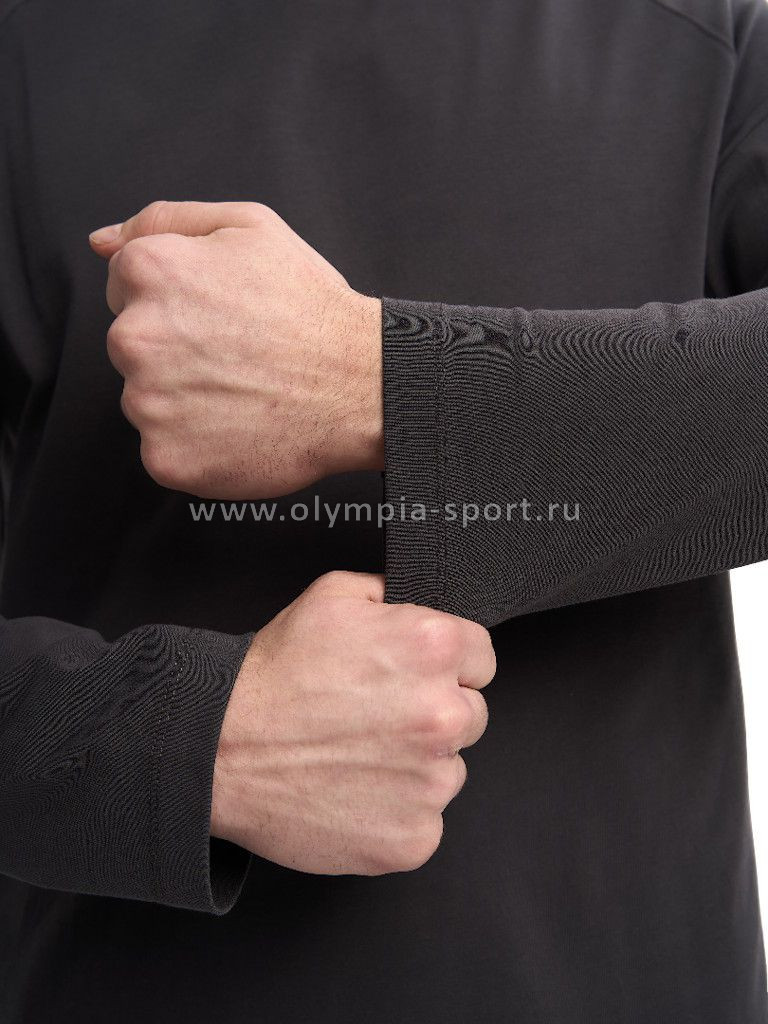 Лонгслив мужской Strobbs E2411-1 темно-серый