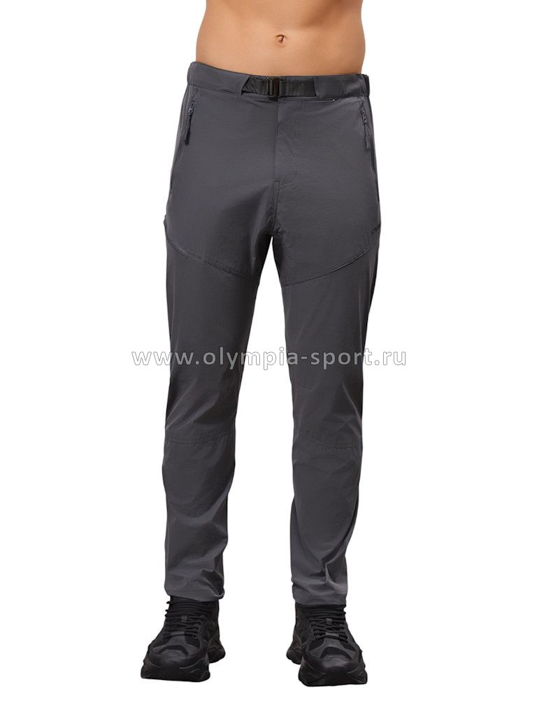 Брюки мужские Strobbs E2387-4 серый